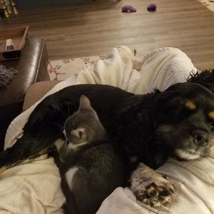 Meet your Posher, Sonja